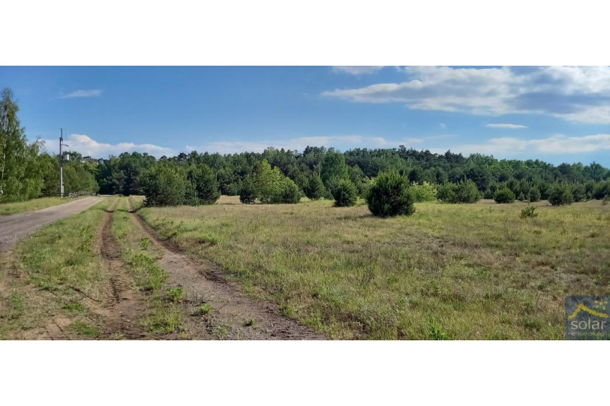 żniński, Łabiszyn, Jeżewice, Wyjątkowe, 18km od Bydgoszczy, lokata kapitału!